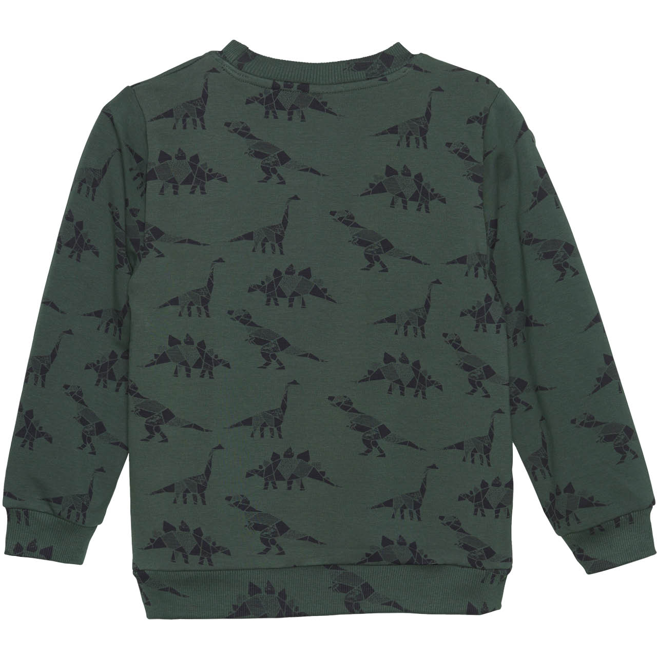Kuscheliges Sweatshirt Dinosaurier waldgrün
