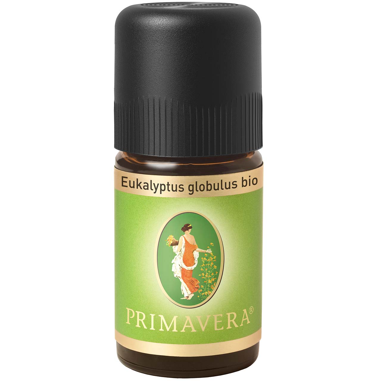 Eukalyptus globulus bio 5ml - 100% ätherisches Öl
